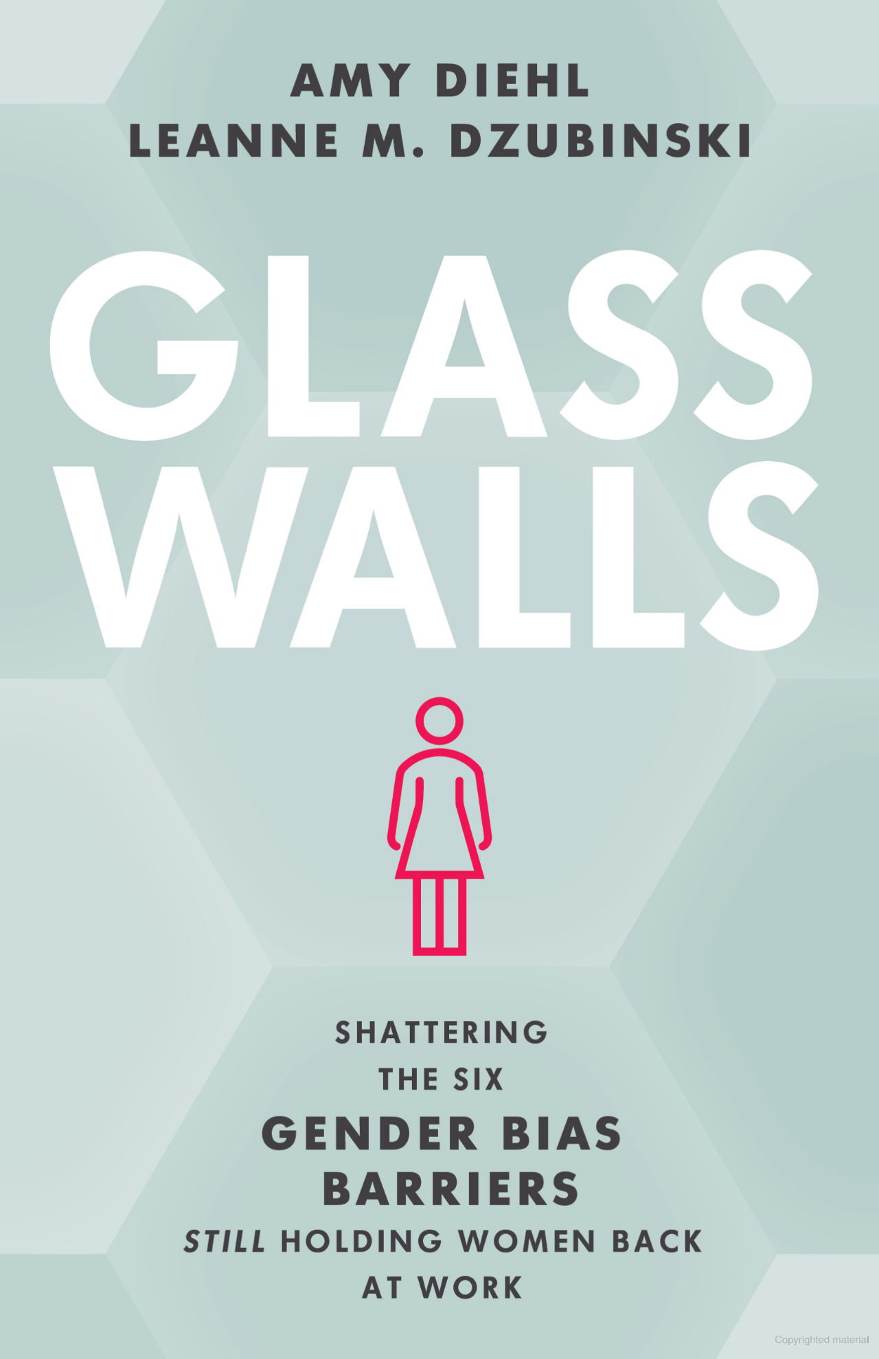 Leanne M. Dzubinski, Amy Diehl: Glass Walls (2023, Rowman & Littlefield Publishers, Incorporated)